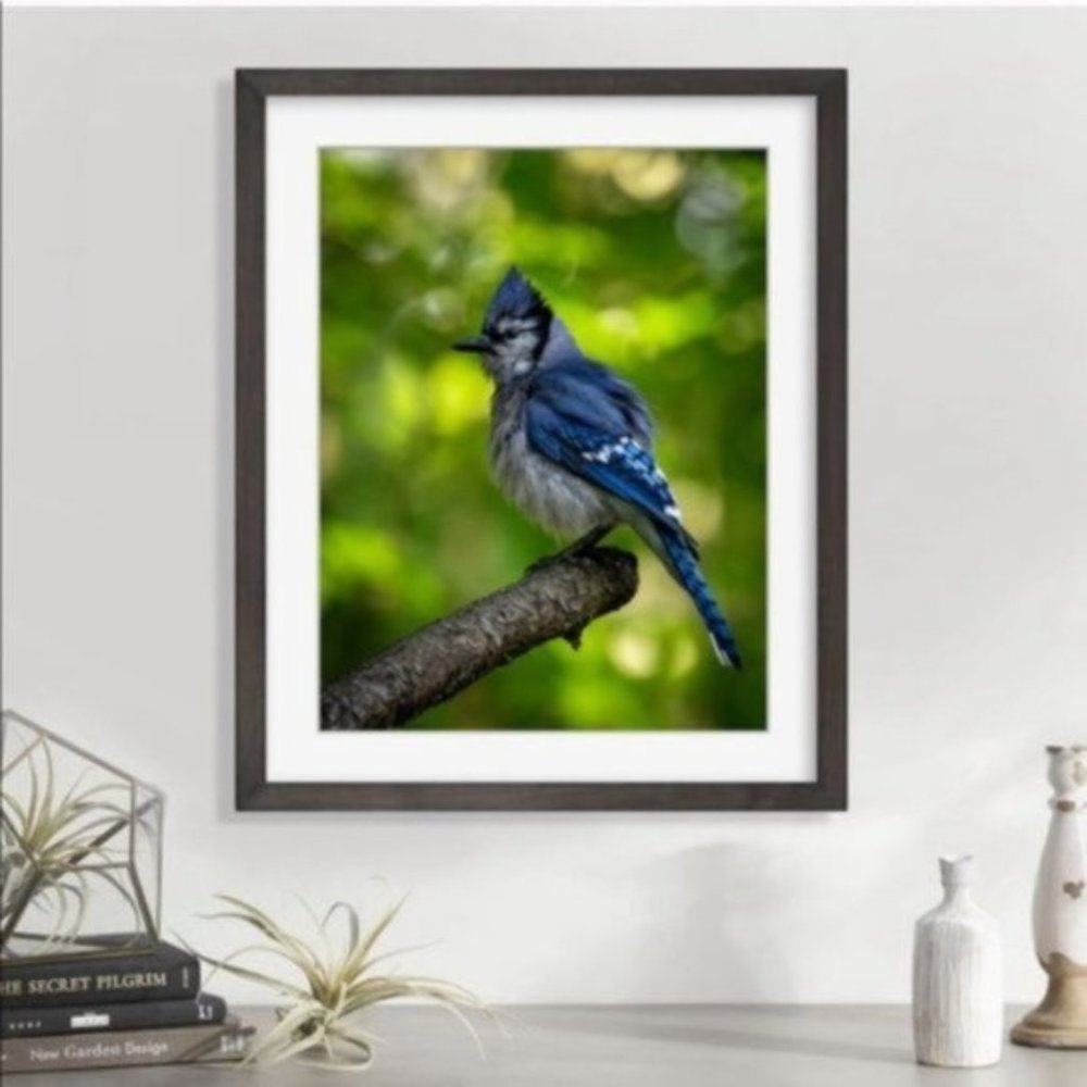New wall art blue Jay nature green summer cottagecore